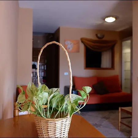 Apartamento Luar * 칼라오살바헤